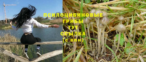 дурь Абаза