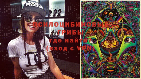 дурь Абаза