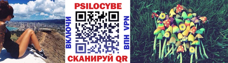 Псилоцибиновые грибы Cubensis  Октябрьский 